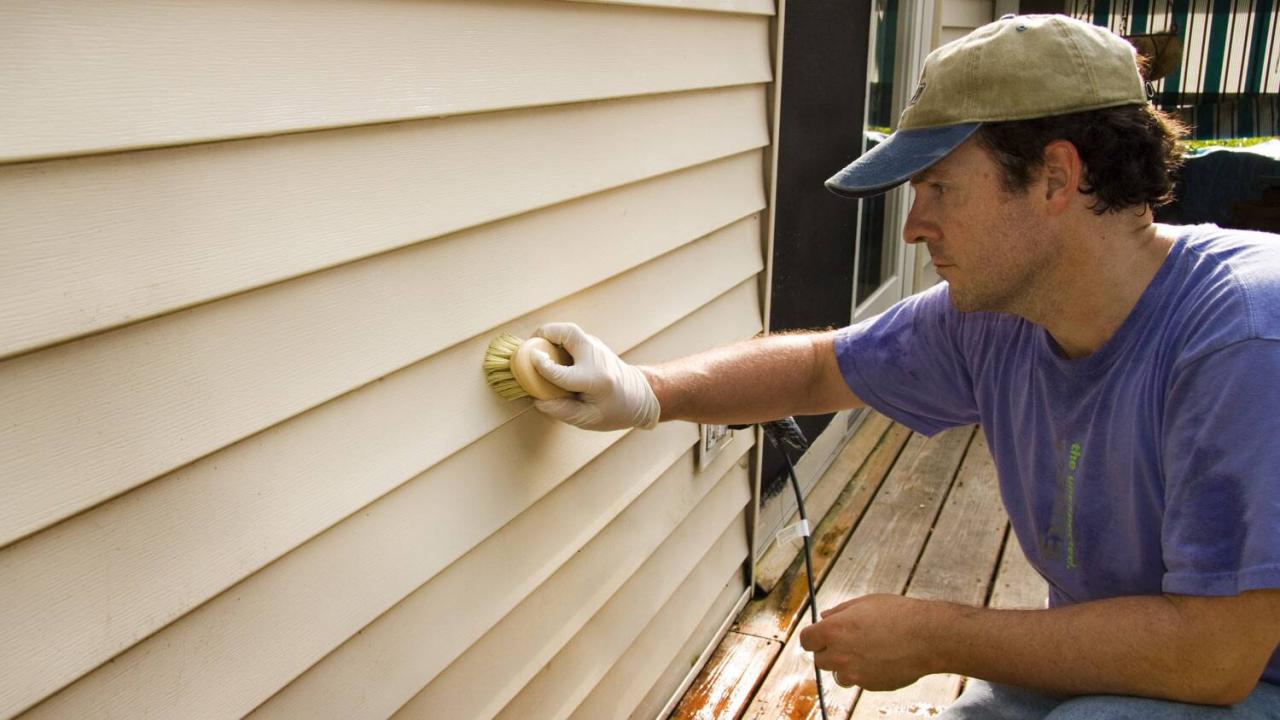 Wood siding repair and painting