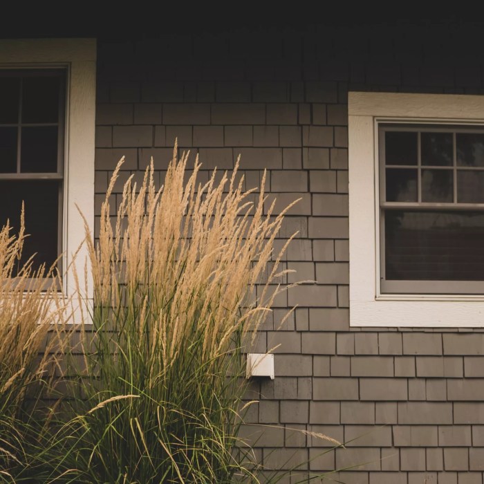 Cedar shake siding installers